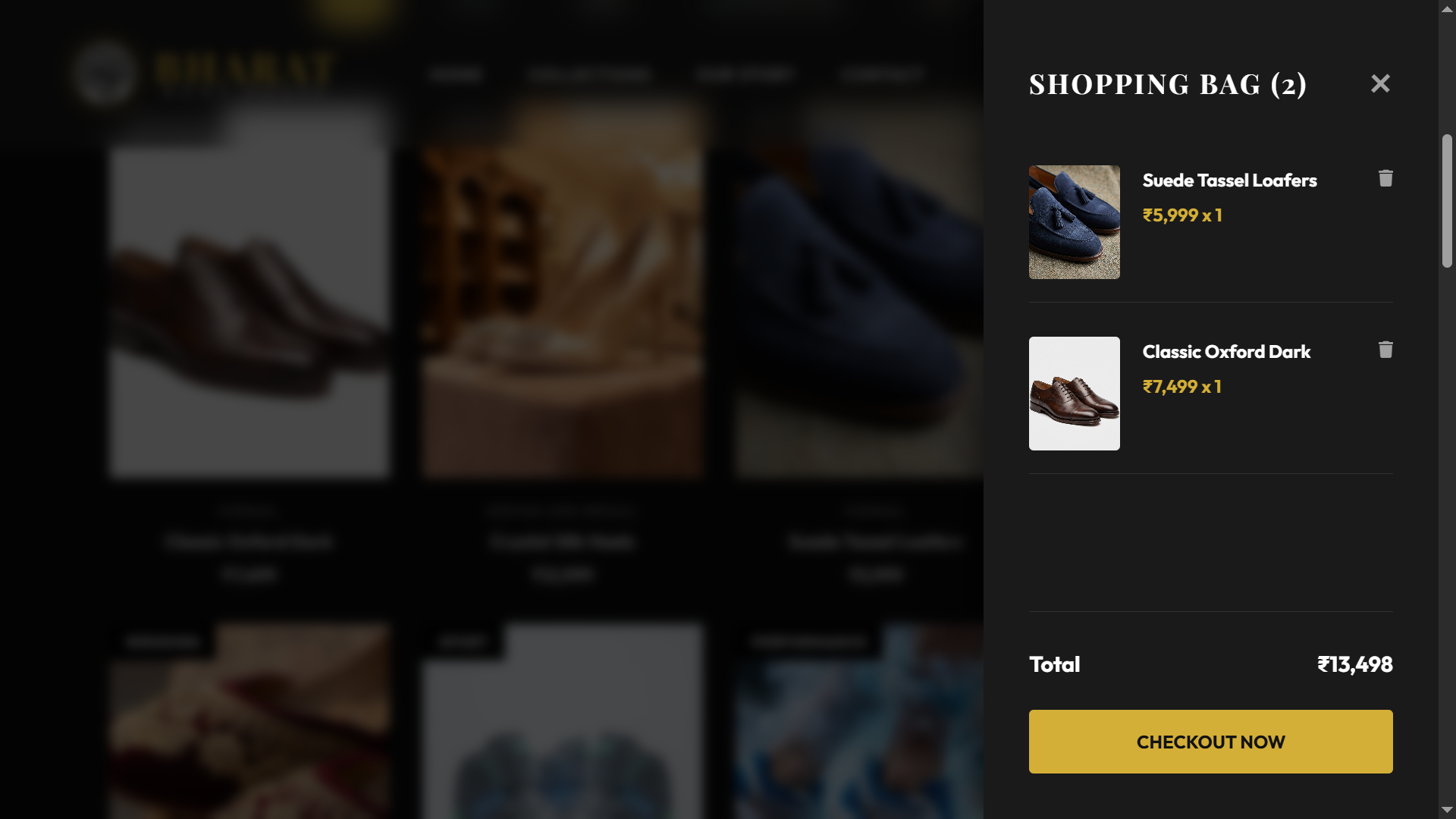 Bharat Boots slide 3